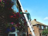 Watering the plants 5  04 500.jpg