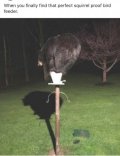 Local wildlife.jpg