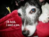 PEE TIME.jpg