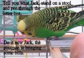 Joey's idea 3.jpg