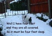 DEEP DEEP SNOW.jpg