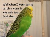DEEP DEEP SNOW 4.jpg