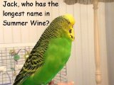 NAME 1 450.jpg