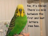 NAME 3 450.jpg