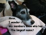 NAME 4 450.jpg