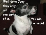 WELL DONE JOEY 450.jpg