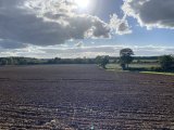 IMG_8854.jpeg