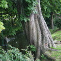 img-3899