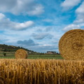bales